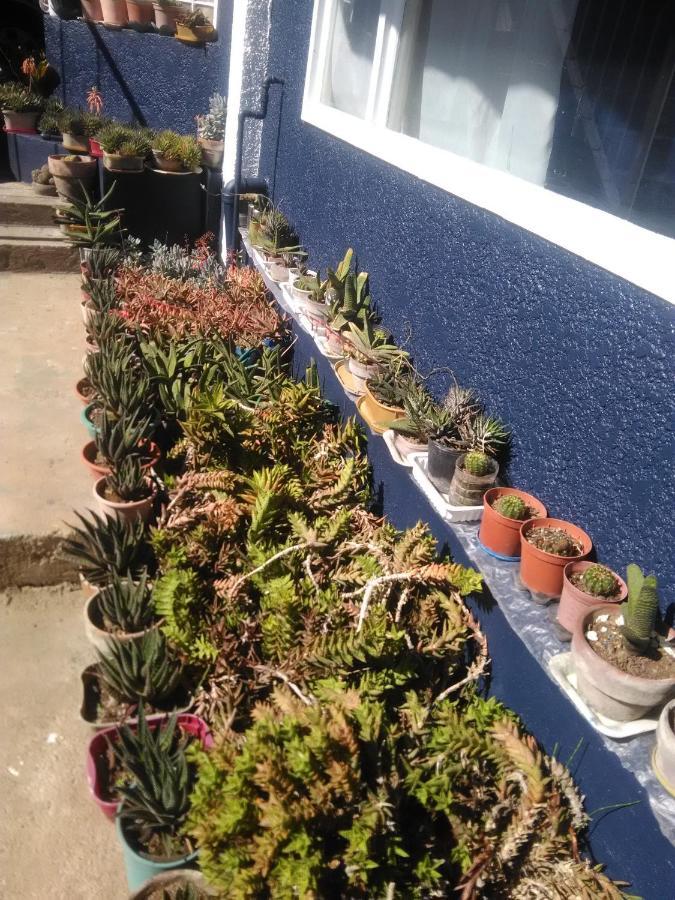 Havilah House באגויו מראה חיצוני תמונה