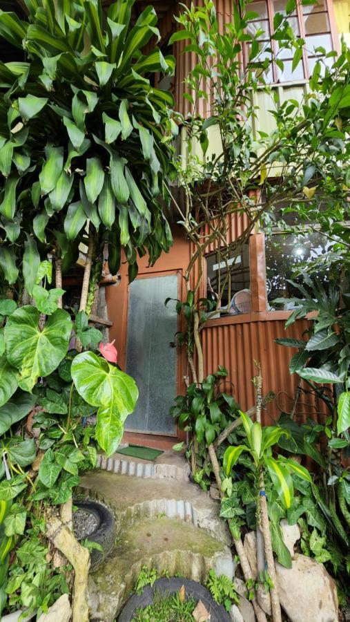 Havilah House באגויו מראה חיצוני תמונה